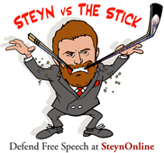 steynVSstick